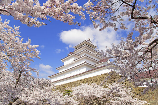 Tsuruga Castle