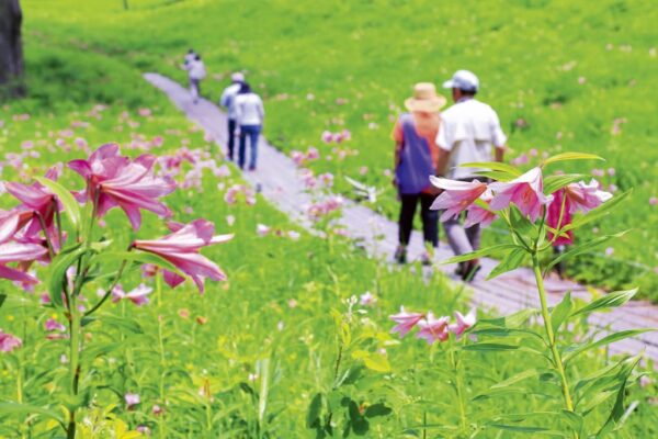 Takashimizu Nature Park