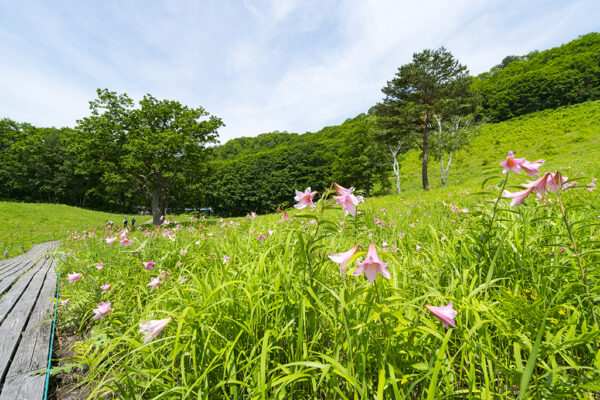 Takashimizu Nature Park